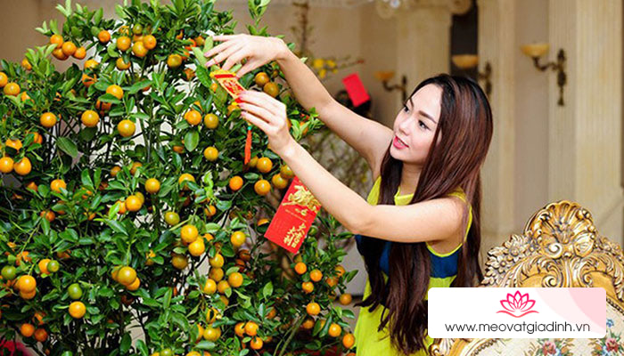 Move To Earn iCoin & Health giải chạy bộ trực tuyến độc đáo